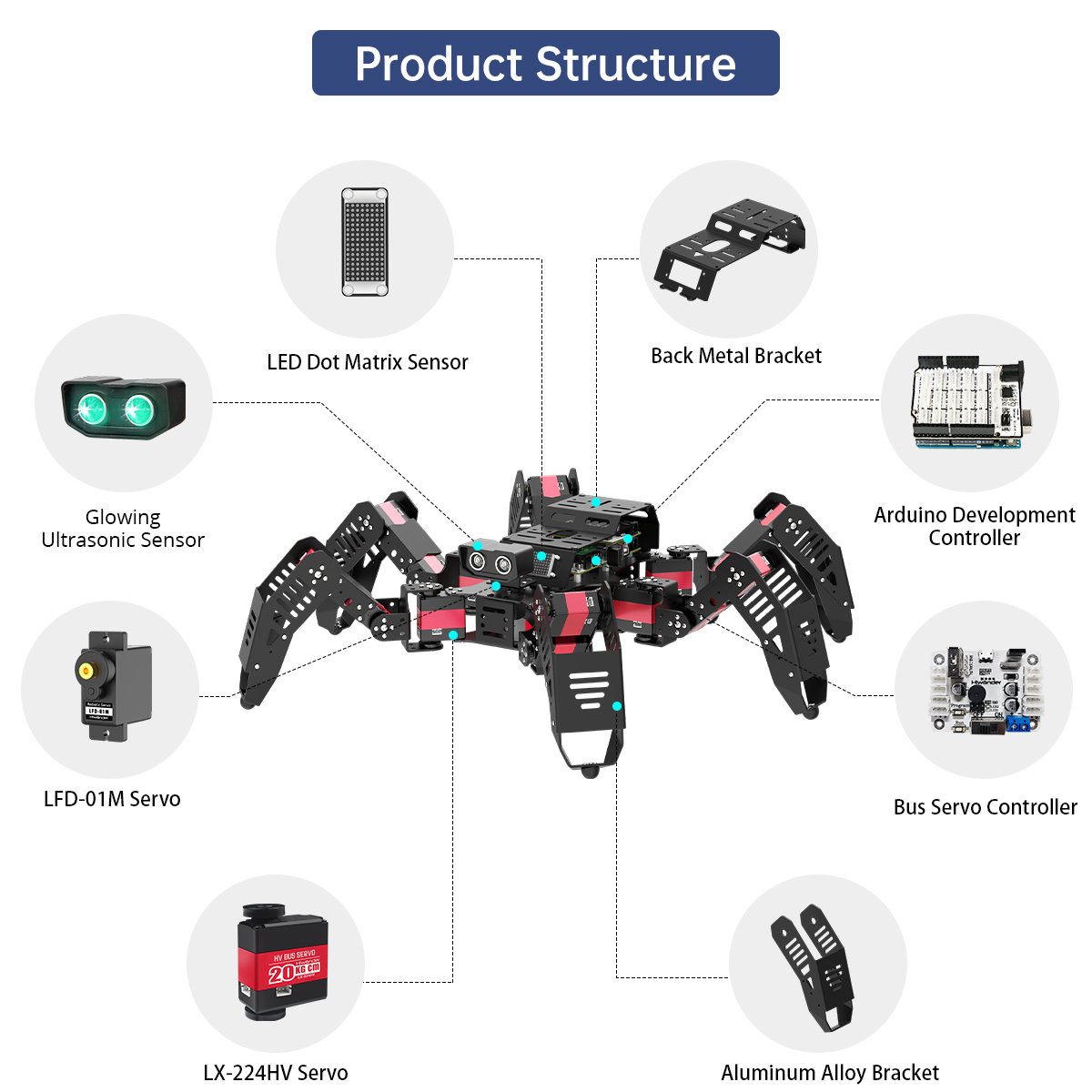 Hiwonder Spiderbot Programmeer - Robotics Kit recensie en prijs
